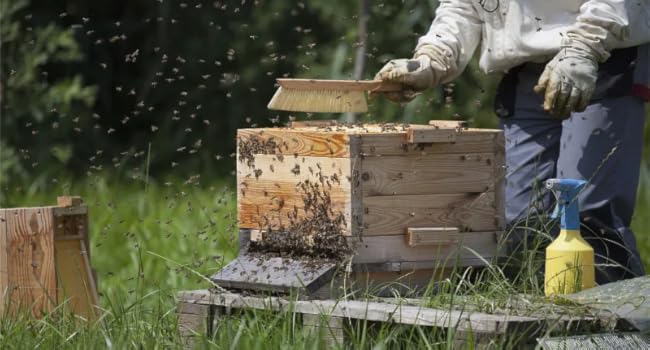 Large manufacture image 2