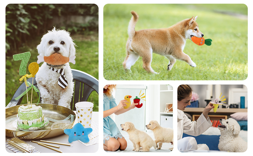 8 Pack Puppy Toys,Dog Squeaky Toys,Small Dog Interactive Teething Plush Soft Chew Toy,Fruit Vegetable Animals Interacting Pet Teddy Toy, Dog Companion Puppy Accessories for Puppies Small Medium Dogs 21 Soft Chew Toy