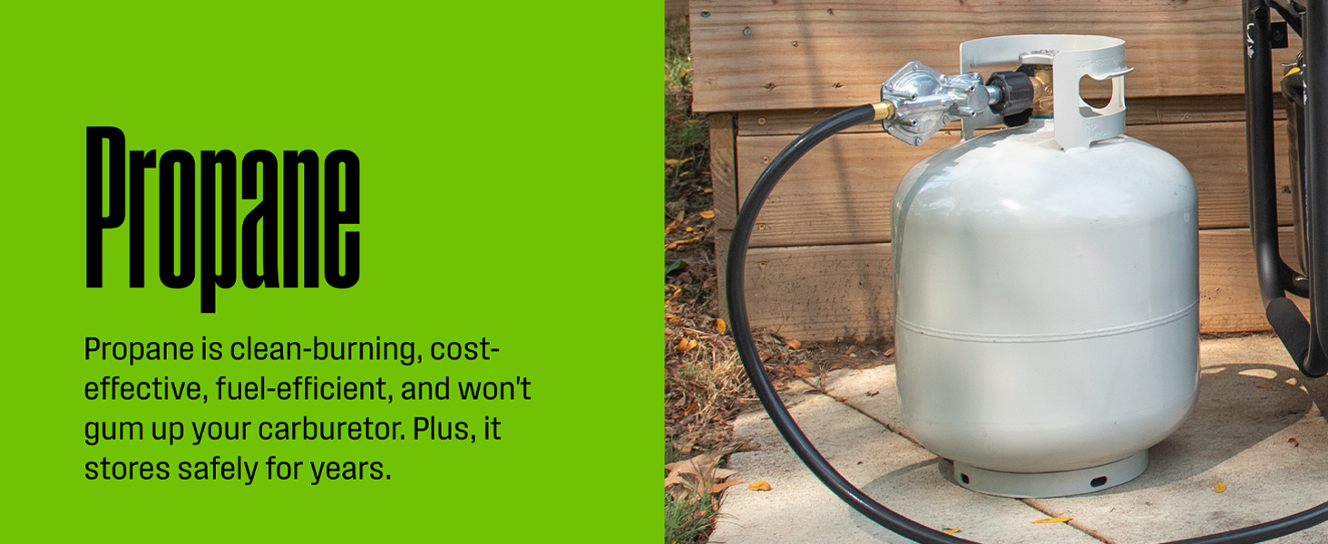 WESTINGHOUSE EFI Generators