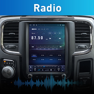 AM/FM/RDS Radio