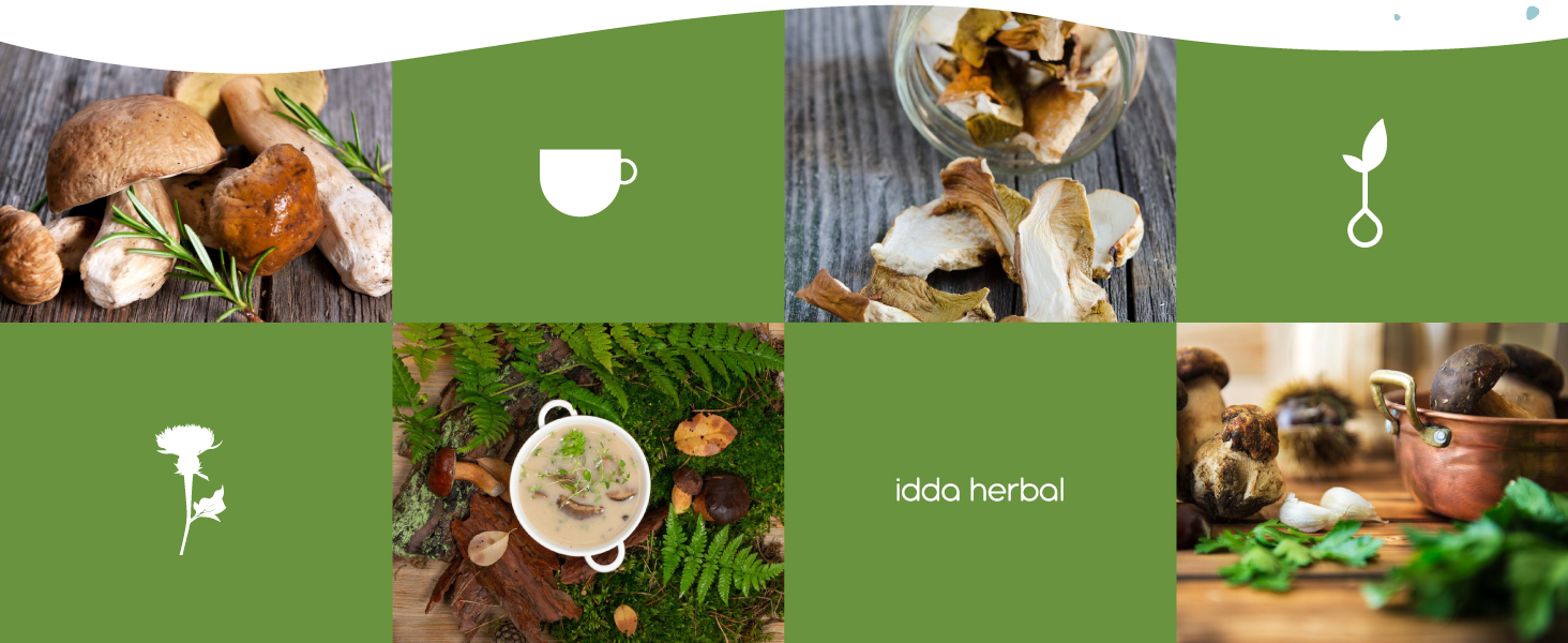 Dried porcini mushrooms idda herbal uk