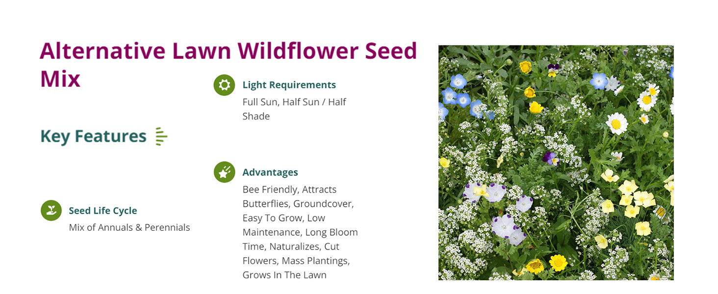 American Meadows Alternative Lawn Wildflower Seed Mix Specially Blended Lawn