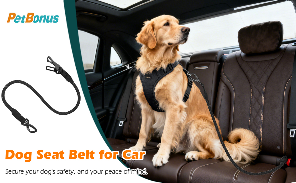car harness for dogs