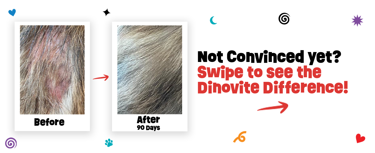 cat supplement, probiotic powder, skin and coat support, digestive health, hairball control, omega-3