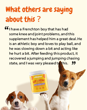 wuffes joint chews for dogs