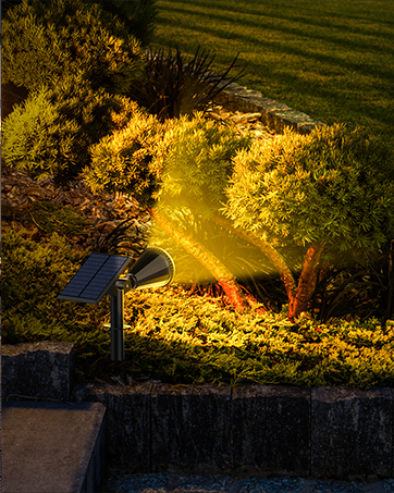 Outdoor Solar Lights for Yard