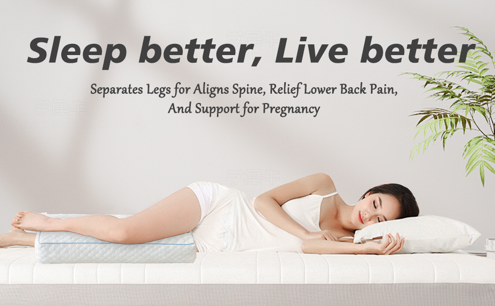 Gehannah Memory Foam Knee Pillow for Side Sleepers, 5.5" Leg Aligner Pillow, Supports Spine Alignment and Relieves Lo Ae9838c0 134f 45c7 8f88 903b95d944f6. CR0,0,970,600 PT0 SX970 V1
