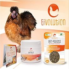 Tiernahrungsprodukte von Eivolution: Bio-Pellets in einer Tüte, einem Glas mit Nahrungsergänzungsmitteln und einer Packung Futter. Flauschiges braunes Huhn im Vordergrund,