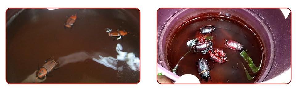 Large manufacture image 6