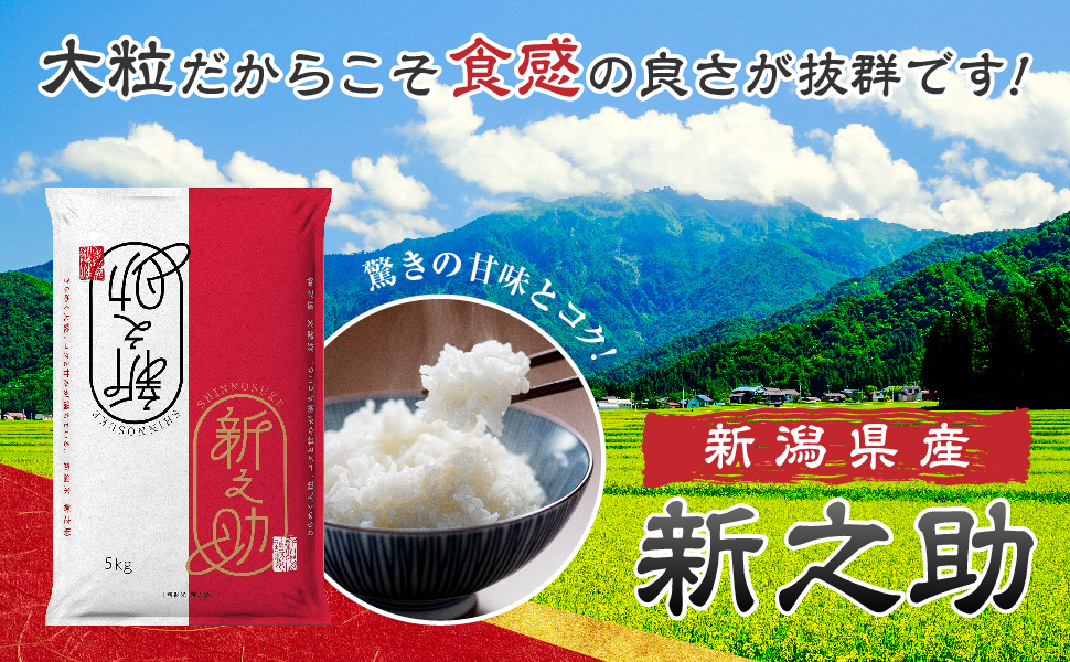 新米・令和6年産　新潟　新之助　白米5kg × 4個★農家直送★色彩選別済03 ◇産地直送◇ ＜令和6年産＞ 新潟県産 新之助 【白米5kg】