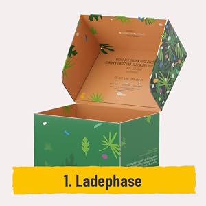 Stoffwechselkur 21 Tage Phasen