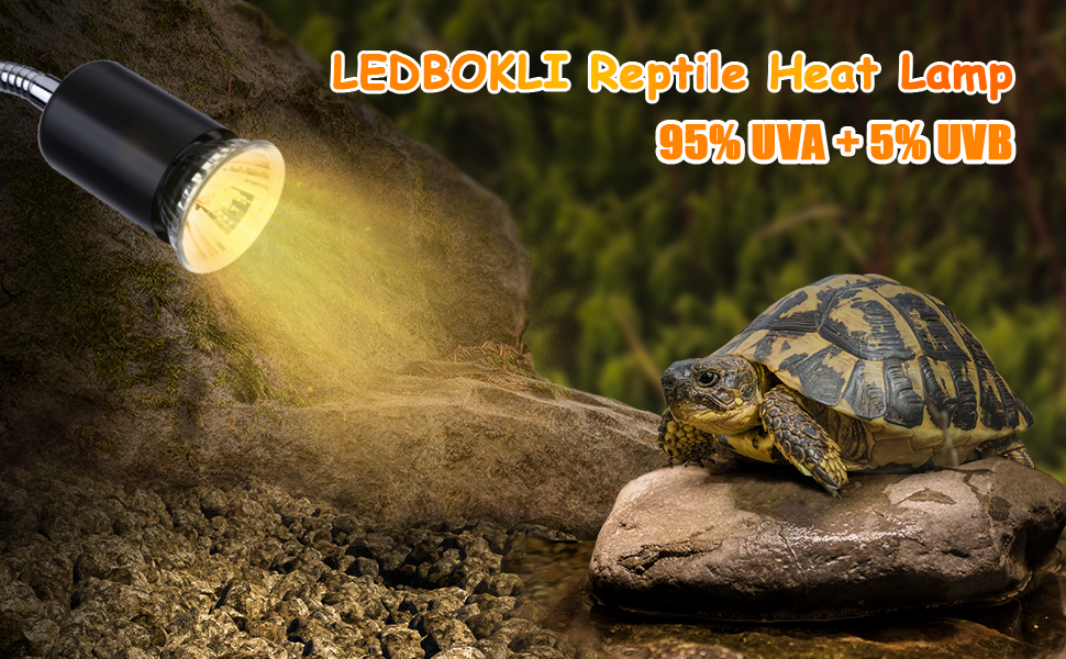 LEDBOKLI Reptile Heat Lamp UVA UVB Tortoise Heat Lamp with Two Heat