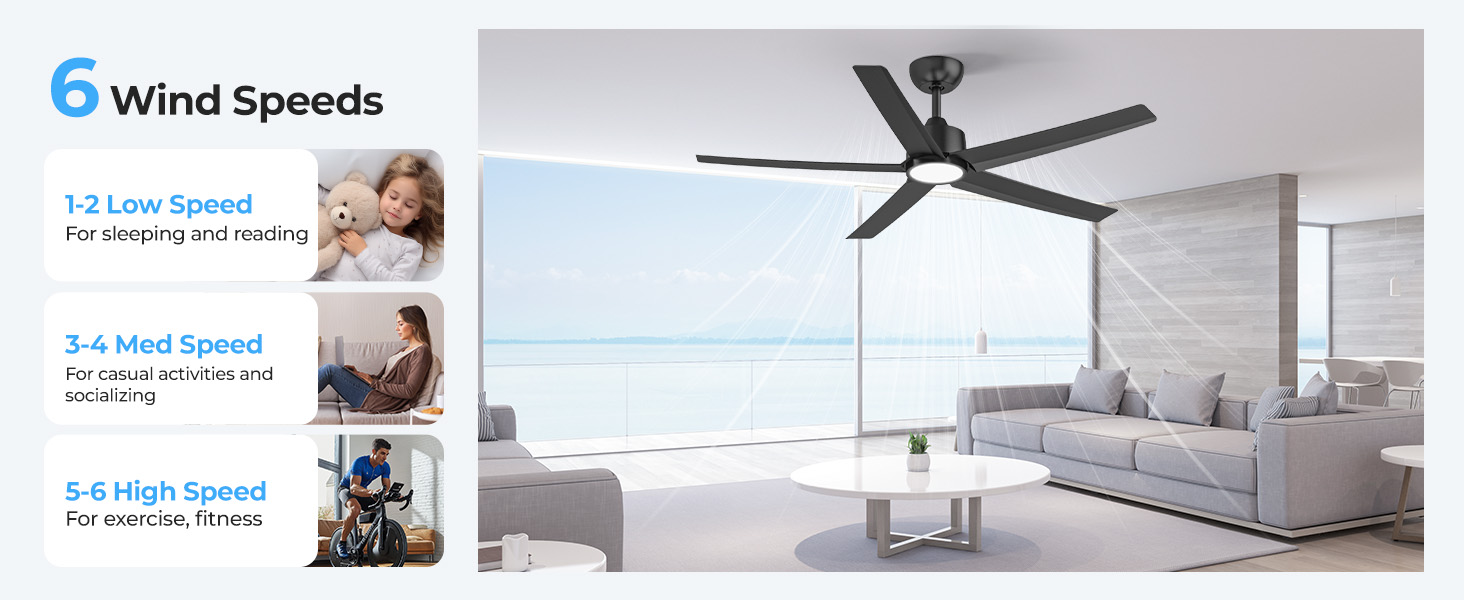 black ceiling fan with light