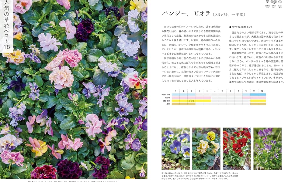 フローラ黒田園芸の草花図鑑（育て方・使い方がよくわかる