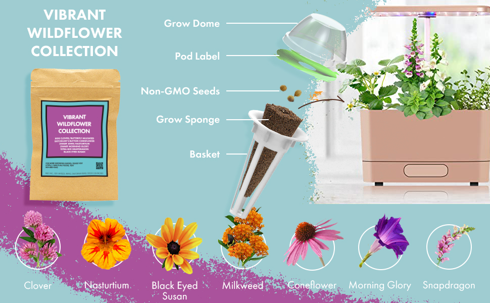 LYKO Vibrant Wildflower Garden Seed Pod Kit for AeroGarden
