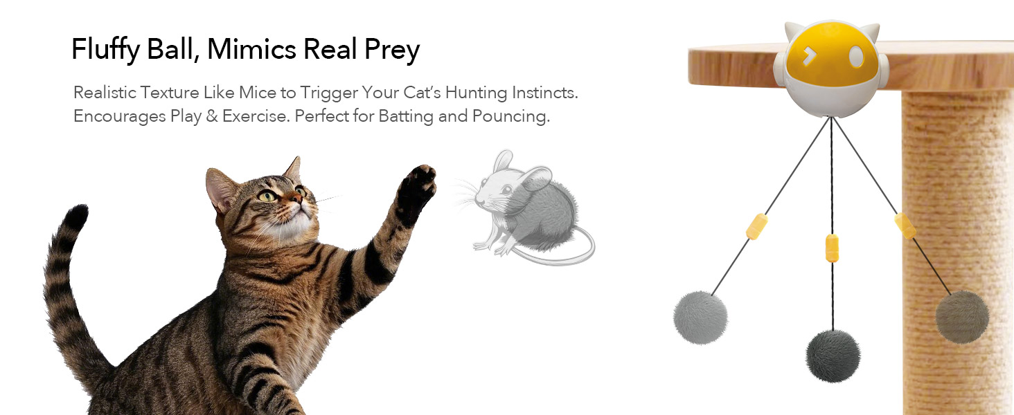 interactive cat toy