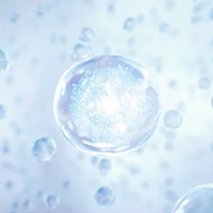 PEPTIDES