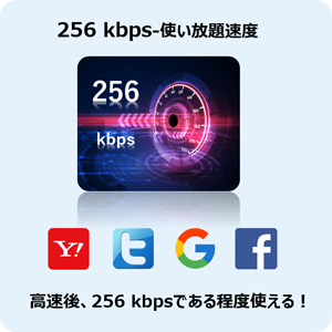 sim 1gb1