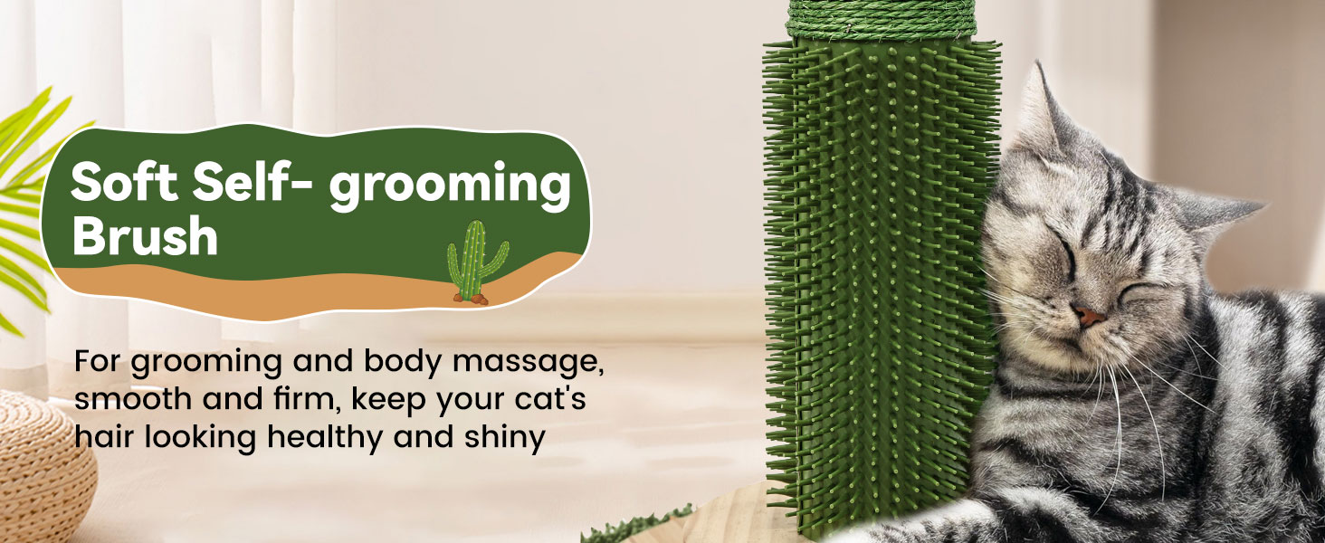 cat scratching posts