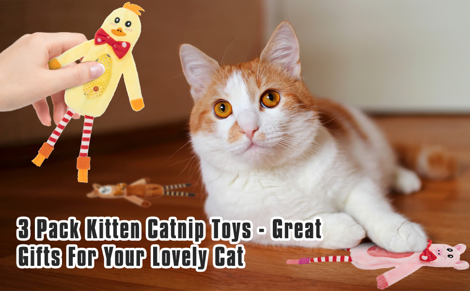 BINGPET Catnip Toys for Cats, 3 Pack Soft Cat Plush Toys