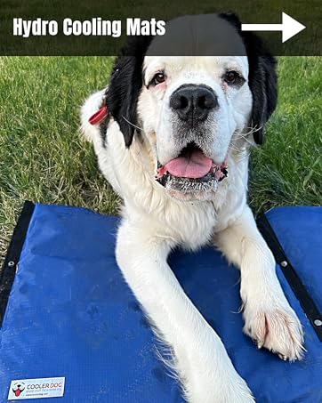 Dog on the CoolerDog Hydro Cooling Mat