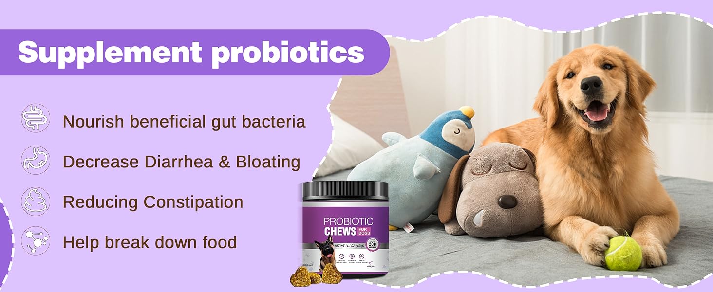 Dog Probiotic Chews