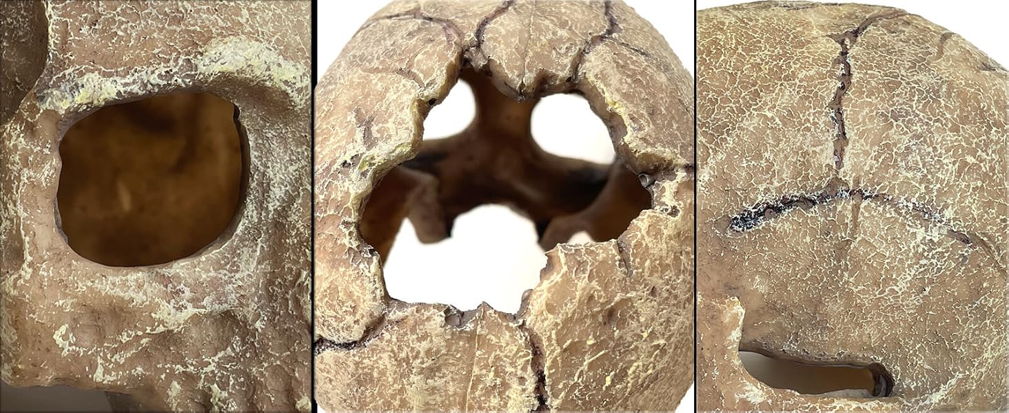 fish tank decorations for 10 gallon tank spongebo