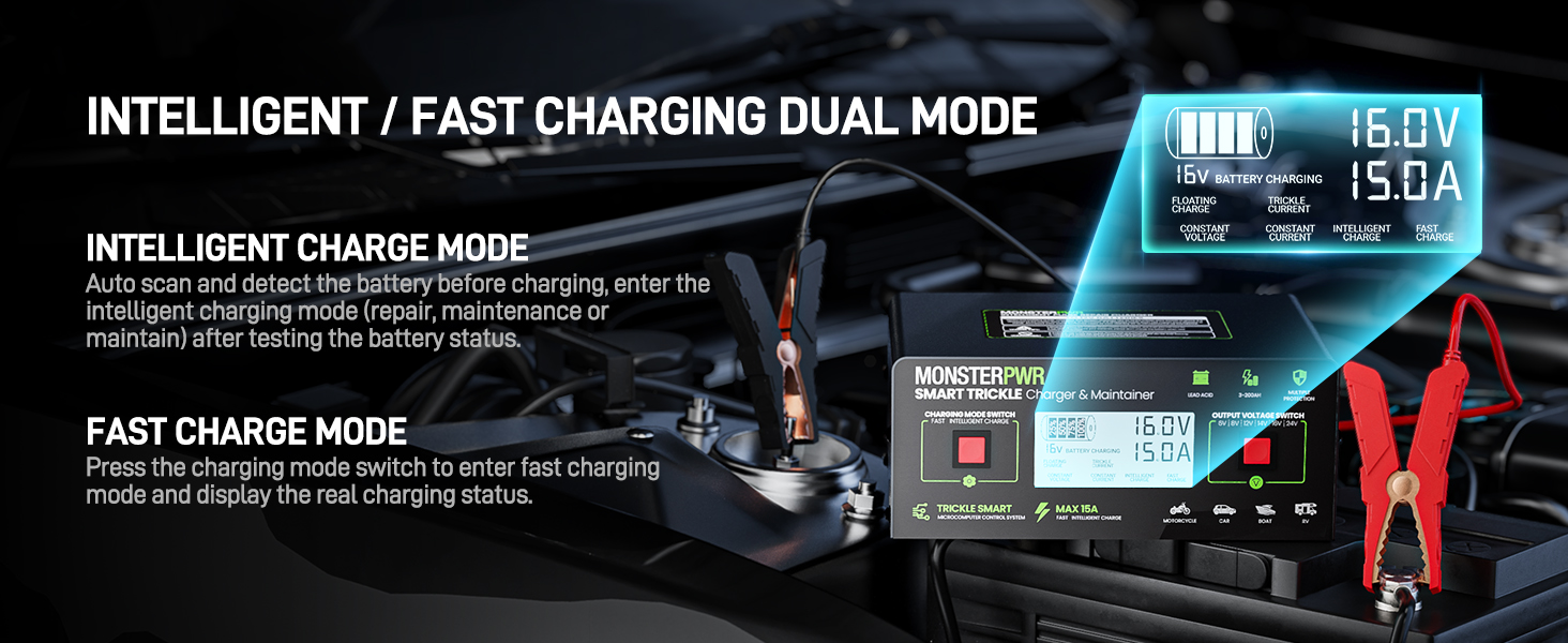 8v battery charger