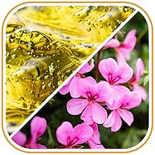 Strengthen, moisturise, &amp; protect your tresses with our nourishing natural oil for hair.