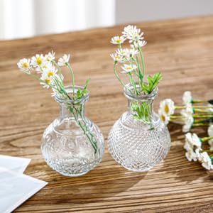 Glass Bud Vases Set of 32,Small Flower V... 13 1