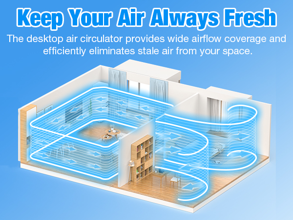 Desktop Fan