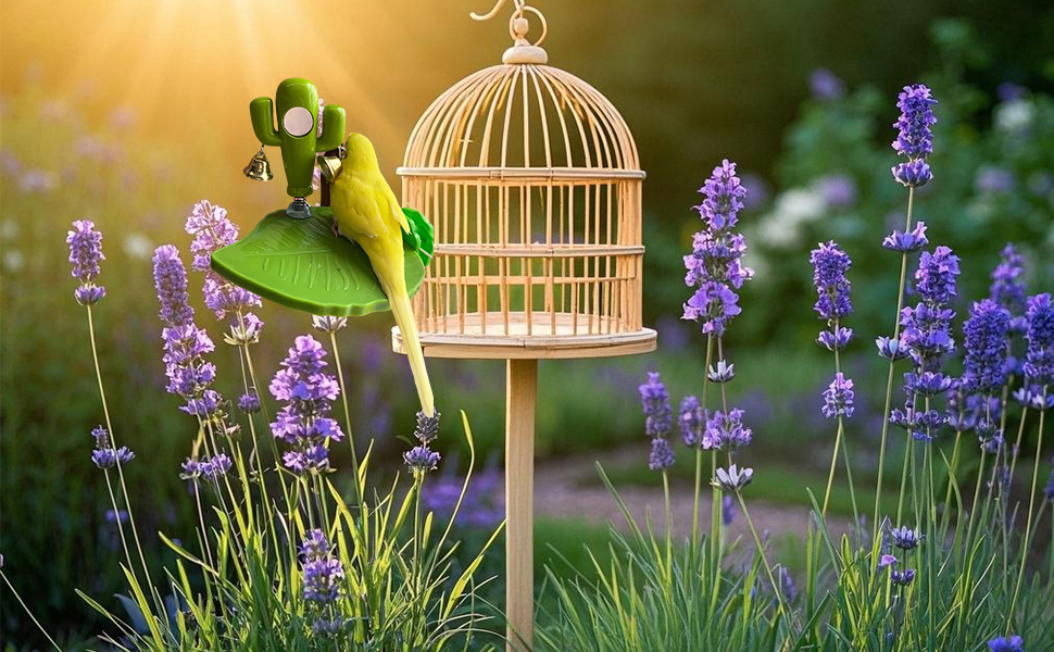 bird training platform, entertainment stand with mirror bell