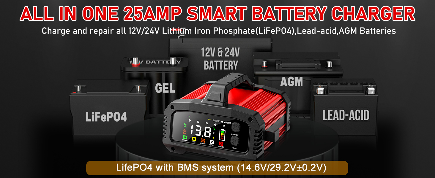 lifepo4 battery charger