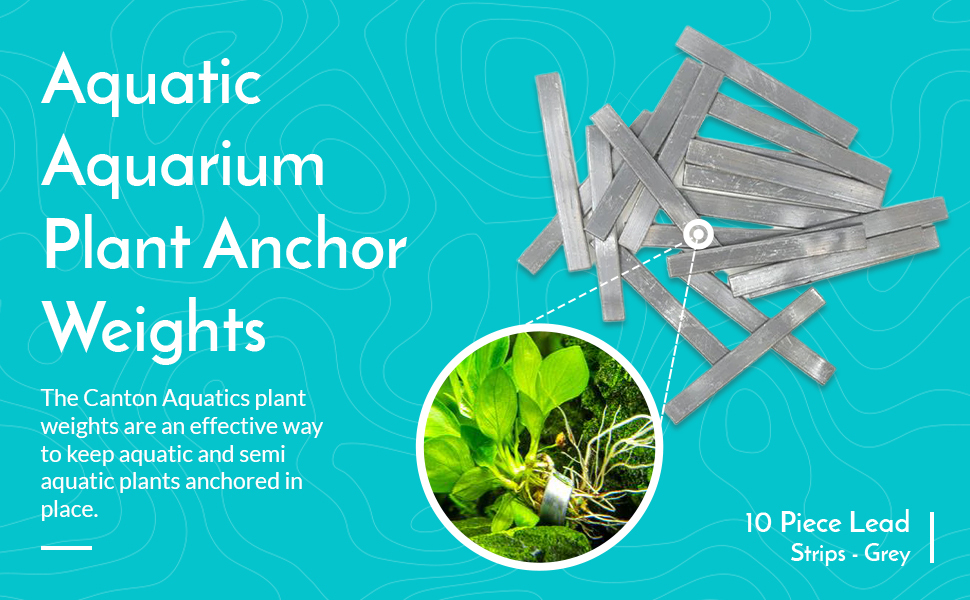 CANTON AQUATICS Anchor Lead Plant Holder Flexible Weight