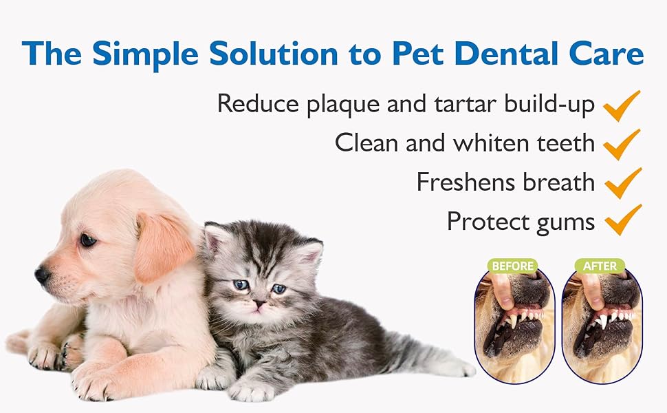 cat ear cleaner