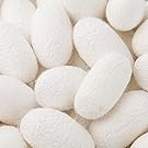 silk cocoons
