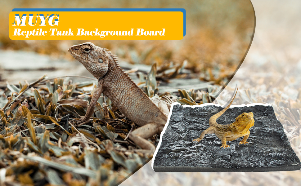 Rock Terrarium Background 3D Reptile Tank Background Board Amphibian Stereo Backdrop Wall