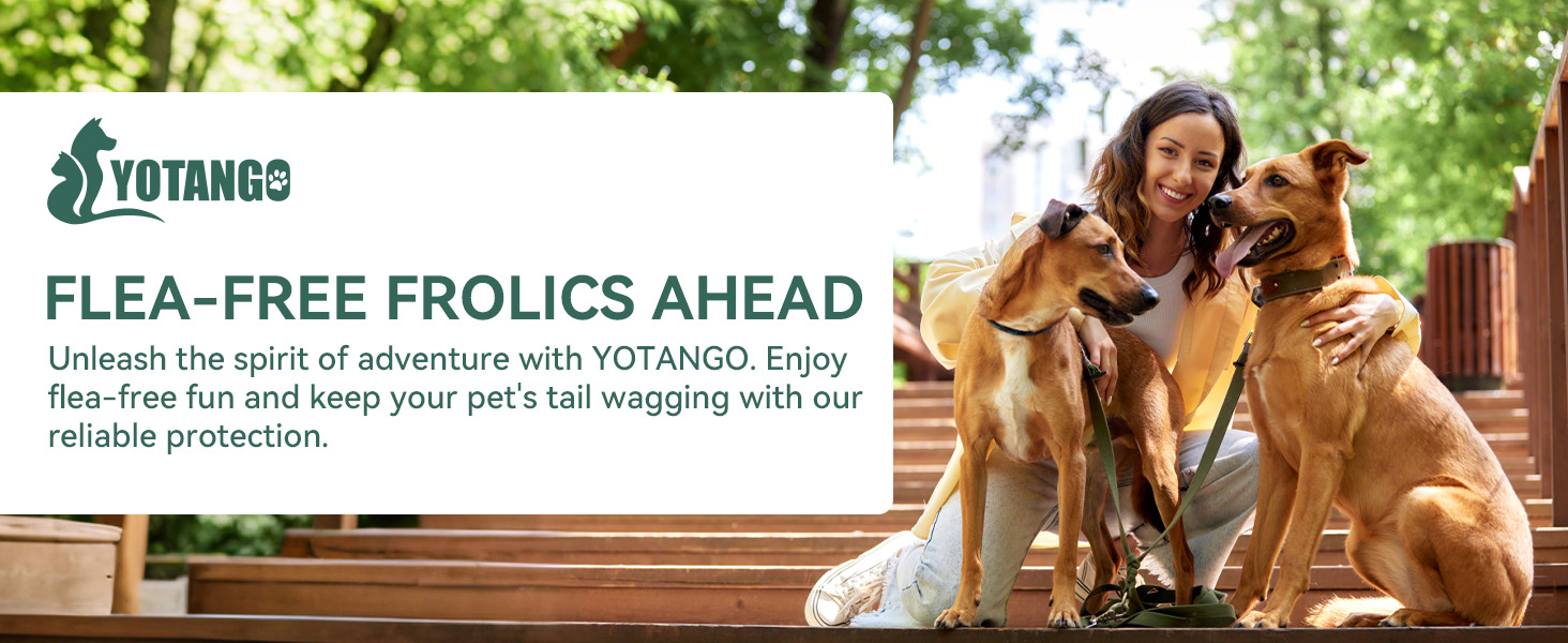 flea and tick chewables for dogs
