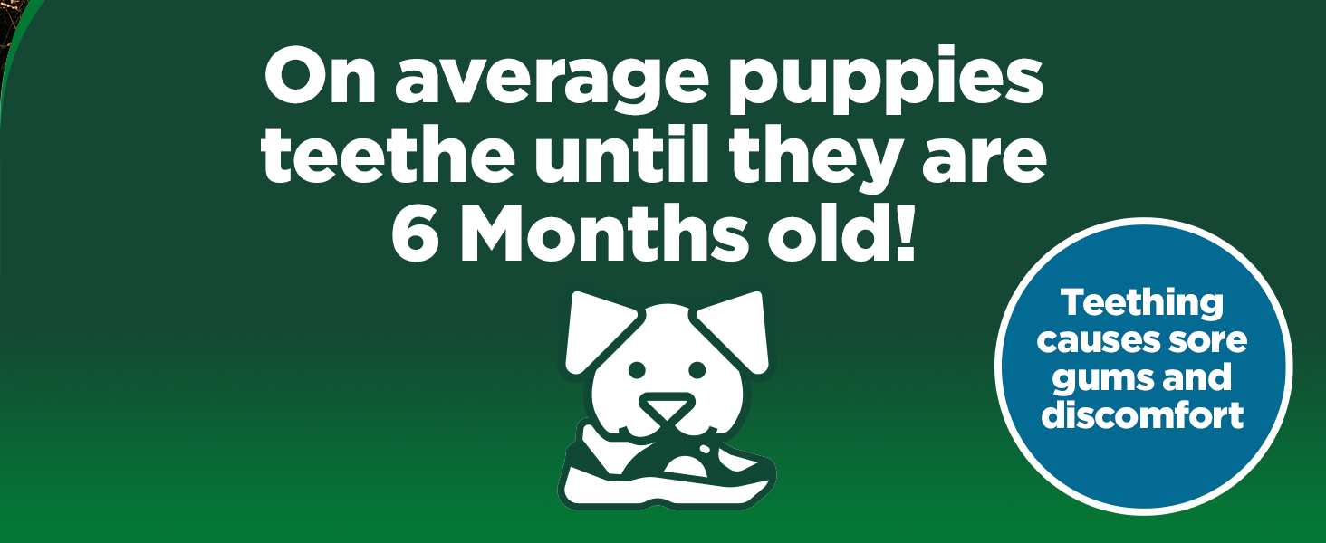 6 months