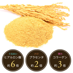 ペスカ クリアローション　化粧水　500ml × 2ポンプタイプ　ヒアルロン酸 クリアローション （化粧水）｜(ペスカ)｜通販のベルメゾンネット