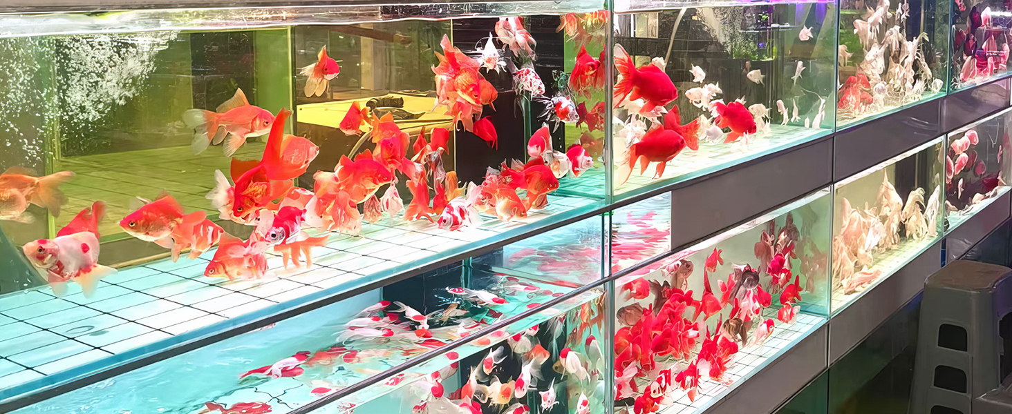 Bluetooth Hygrometer Thermometer