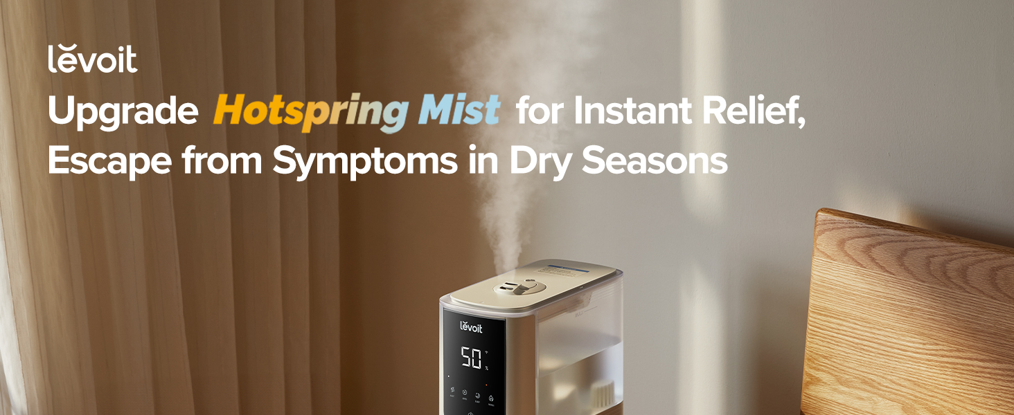 warm and cool mist humidifier