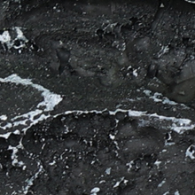 african cichlids habitat