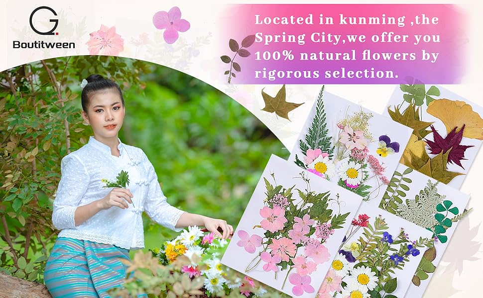 150 Pcs Real Dried Preserved Flowers, Dried Flowers for Resin Molds