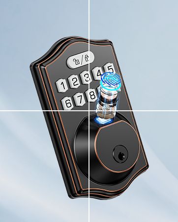 45454
