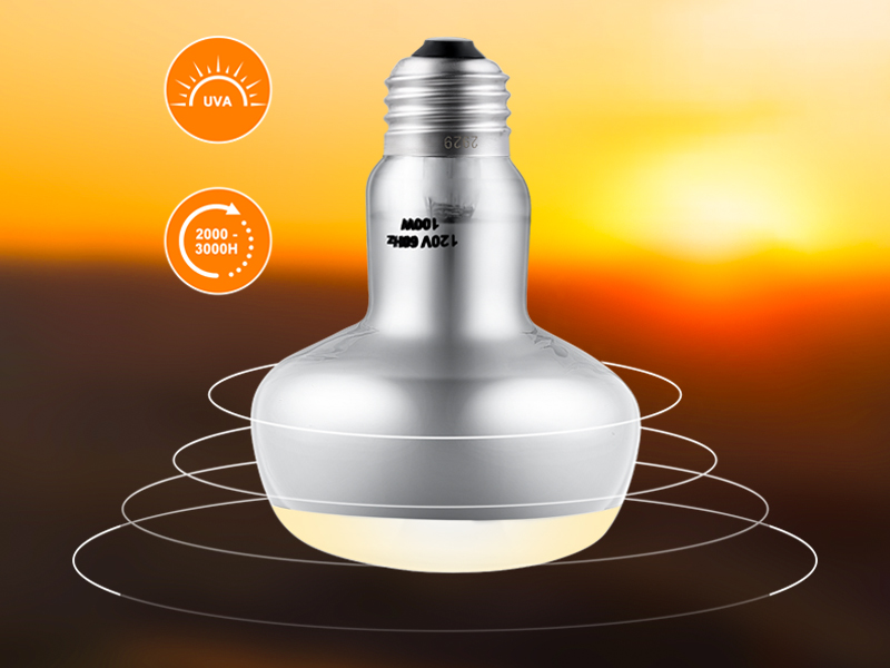 100 watt reptile heat bulb