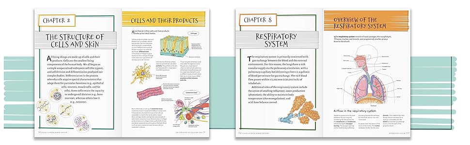 Anatomy 3