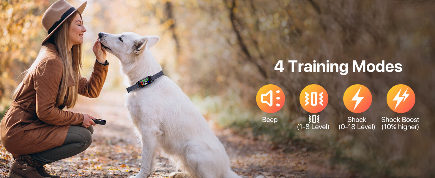 dog training collar large medium dogs