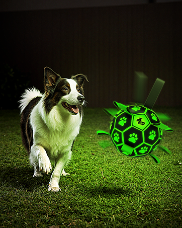 light up dog balls