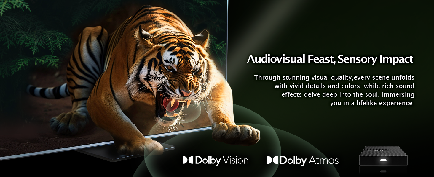 RockTek, Google TV, TVDongle, dolby visoin, dolby atmos